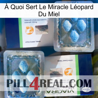 À Quoi Sert Le Miracle Léopard Du Miel viagra5